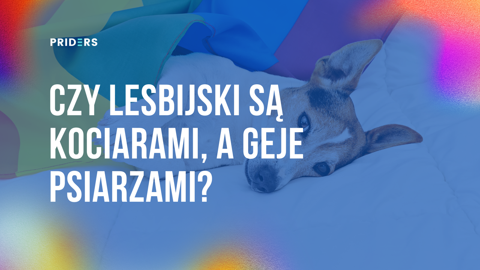 Czy lesbijski są kociarami, a geje psiarzami?